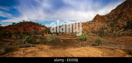 Brachina Gorge, Flinders Ranges National Park, Australie du Sud, Australie Banque D'Images