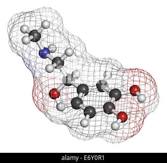 Adrénaline l'Adrénaline (épinéphrine), molécule de neurotransmetteurs. Utilisé comme médicament dans le traitement de l'anaphylaxie Les atomes sont représentés comme des Banque D'Images