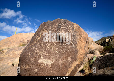 Hohokam petroglyphs in les montagnes Santa Catalina, Coronado National Forest, désert de Sonora, Catalina, Arizona, USA. Banque D'Images