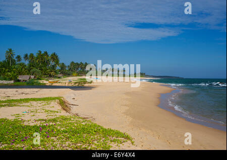 Des huttes et des palmiers sur une longue plage de sable déserte est de Tangalle, côte sud, Sri Lanka, en Asie du Sud Banque D'Images