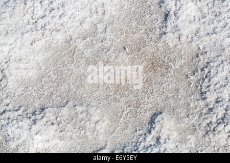 Formations de cristaux de sel sur le plancher de la Death Valley National Park, en Californie. Banque D'Images