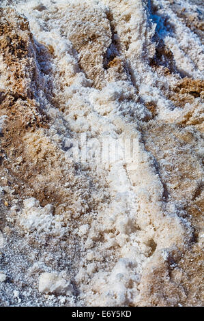 Formations de cristaux de sel sur le plancher de la Death Valley National Park, en Californie. Banque D'Images