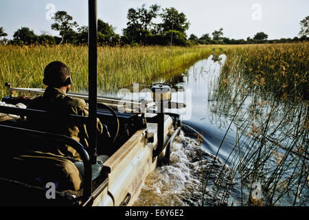 La commande de jeu sur l'île de Duba, Okavango Delta, Botswana, Africa Banque D'Images
