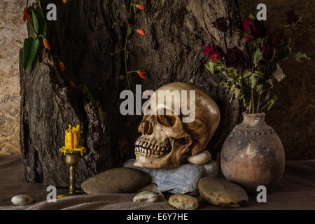 Nature morte avec un crâne humain avec des plantes du désert, cactus, roses et fleurs séchées dans un vase à côté du bois. Banque D'Images