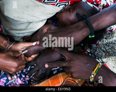 Une équipe de vaccination mobile visite un petit village Turkana par le lac Turkana et vaccine les nourrissons et les petits bébés. Banque D'Images