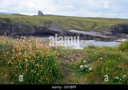 Littoral atlantique robuste de Mullaghmore Head, Comté de Sligo, Irlande montrant une anse avec Classiebawn Château sur pointe derrière. Banque D'Images