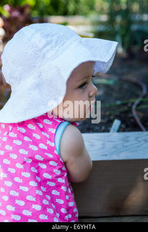 Cute baby girl à la découverte des légumes dans le jardin urbain organique. Banque D'Images