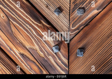 Fond de Bois, ancienne porte d'un château, la Pologne. Banque D'Images