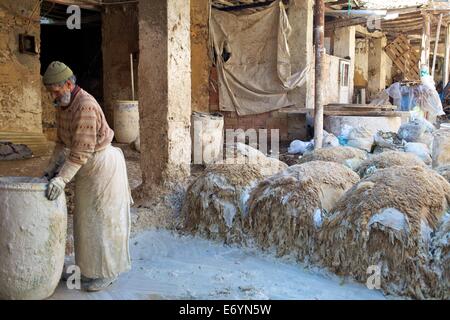 Le vieil homme à l'œuvre dans les tanneries, Medina, FES, Maroc, Afrique du Nord, Afrique Banque D'Images