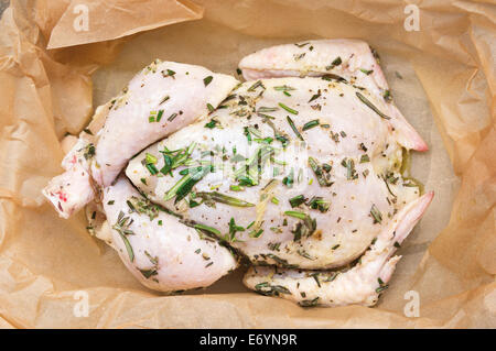 Poulet entier cru avec de l'huile et le romarin dans du papier sulfurisé , préparation de la torréfaction grill Banque D'Images