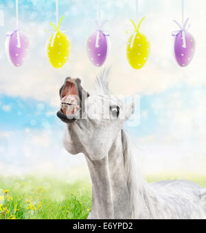 Cheval blanc s'exécute à la pendaison les oeufs de Pâques sur fond de printemps Banque D'Images
