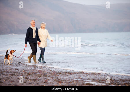 Couple le long de la plage d'hiver avec Chien Banque D'Images