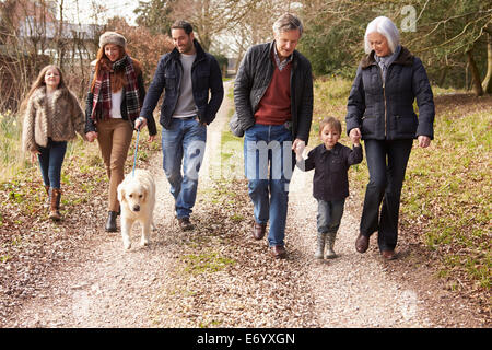 En prenant l'homme pour chien marche On City Street Banque D'Images