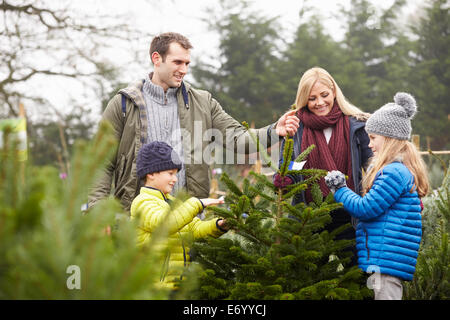 La famille à l'extérieur Choix d'ensemble de l'arbre de Noël Banque D'Images
