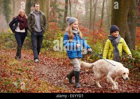 La marche de la famille chien au bois d'hiver Banque D'Images