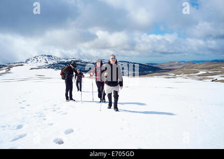 Quatre hommes de la randonnée dans la neige, montagnes de Bucegi, Transylvanie, Roumanie Banque D'Images