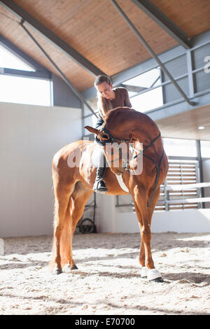 Mid adult woman sur chestnut horse dans l'enclos Banque D'Images