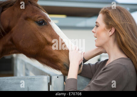 Femme stablehand petting horse chestnut en équitation Banque D'Images