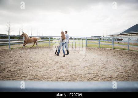 Deux formation stablehands horse en anneau paddock Banque D'Images