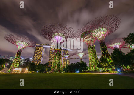 Supertrees Beach et Marina Bay Sands Hotel dans les jardins de la Baie le 8 mars 2014 à Singapour. Banque D'Images