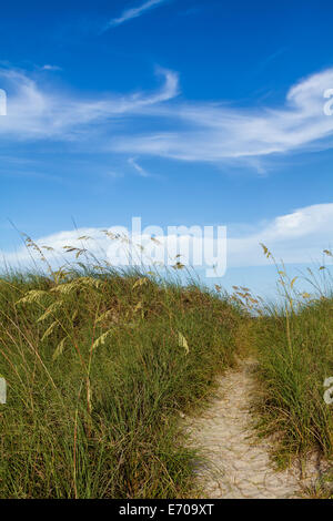 Sentier de la plage de dunes sur Amelia Island, en Floride. Banque D'Images