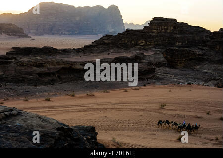 La Jordanie. Le wadi Rum est aussi connu sous le nom de vallée de la Lune. Petite caravane de dromadaires en direction du camp bédouin. Banque D'Images