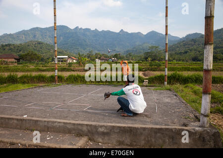 Borobudur, à Java, en Indonésie. Pigeon de parvenir à la ligne d'arrivée. Banque D'Images