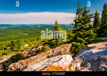 Vue de Spruce Knob, West Virginia. Banque D'Images