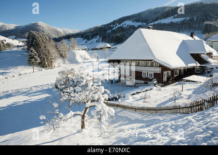 Ancienne maison de la Forêt-Noire et la neige paysage, Präg, Todtnau, Forêt-Noire, Bade-Wurtemberg, Allemagne Banque D'Images