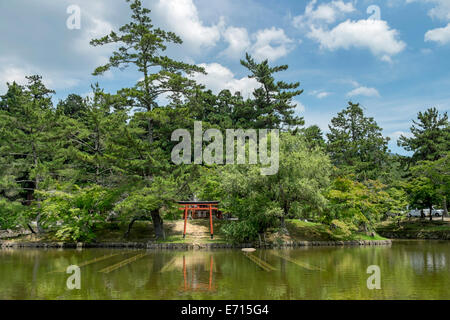 Le Japon, Nara, Temple Todai-ji Temple, Torii et Kagami pond Banque D'Images