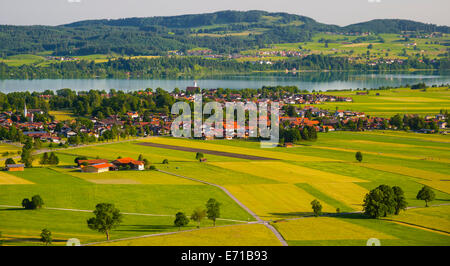 Allemagne, Bavière, souabe, à l'Est, Allgaeu, vue sur Schwangau Allgaeu à Waltenhofen Banque D'Images