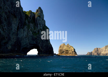 "Le trou dans la roche' situé dans la baie des îles à l'extrémité nord du Cap Brett, île du Nord, en Nouvelle-Zélande. Banque D'Images