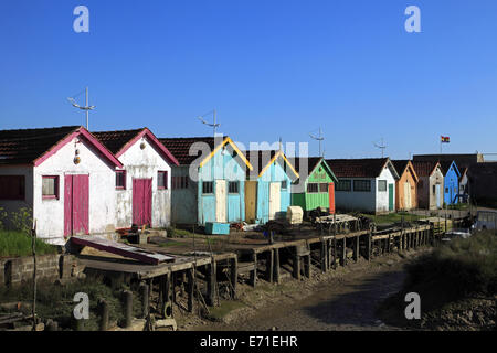 Oyster shack à Château d'Oléron, Île d'Oléron, Charente Maritime, Poitou-Charentes , France Banque D'Images