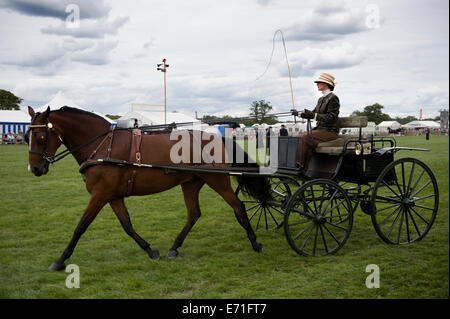 Un participant dans la salle de classe non faisceau conduite à l'Edenbridge hackney et salon de l'agriculture Oxted Banque D'Images