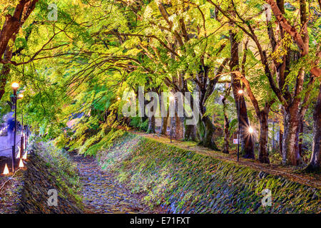 Feuille d'érable en tunnel Kawaguchi, le Japon. Banque D'Images