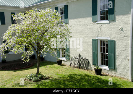 USA, Ohio, vieille Eddyville. Rose Hill Museum, du cornouiller à l'extérieur de l'hôtel particulier maison Cobb. Registre National des Endroits Historiques. Banque D'Images