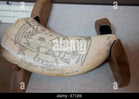 USA, Massachusetts, New Bedford Whaling Museum,. 19e siècle Collection de Whaler's scrimshaw sculptée sur les dents des baleines. Banque D'Images