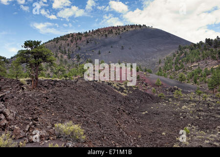 Sunset Crater National Monument est situé au nord de Flagstaff dans l'Arizona du Nord Banque D'Images