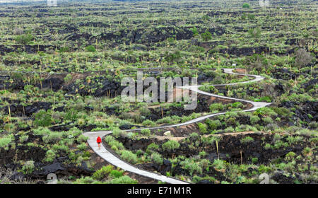 Le terrain de jeux Valley of Fires, au Nouveau-Mexique, est situé juste à côté du Malpais Lava Flow. Il y a environ 5,000 ans, peu Banque D'Images