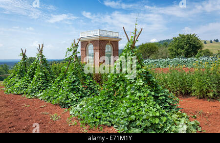 Potager au Thomas Jefferson's Home - Monticello, VA Banque D'Images