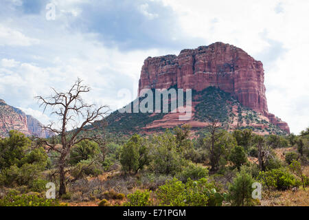 Formation de grès érodées - Sedona, Arizona USA Banque D'Images