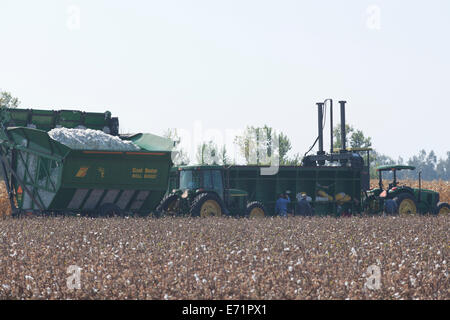 Récolte de coton - terres agricoles du centre de la Californie, USA Banque D'Images