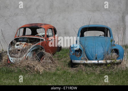 Deux vieux rouillé out Volkswagen côte à côte. Banque D'Images