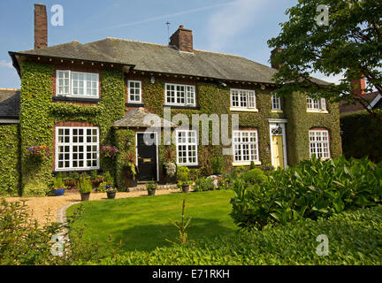 Cette élégante chambre double story house avec des murs entièrement recouverts de lierre dans village de Grappenhall, Angleterre Banque D'Images