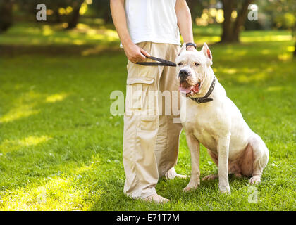 L'homme et le chien Argentino à pied dans le parc. Banque D'Images