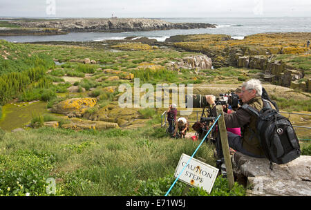 Photographe avec appareil photo et grands verres assis sur rock photographier les oiseaux sur l'île de Farne avec vue sur les falaises et l'océan au-delà Banque D'Images