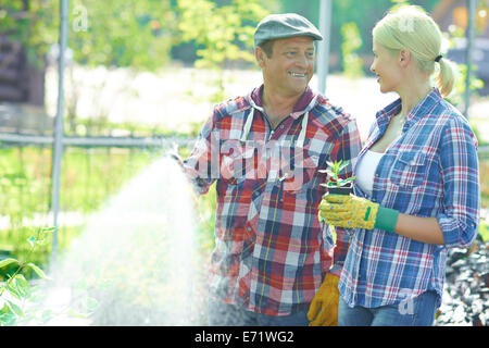 Jardinier femelle avec plante verte pour parler homme mûr d'arrosage jardin Banque D'Images