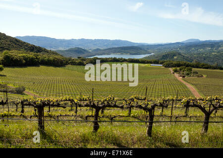 Lake Hennessey vu de l'ensemble immobilier, Napa Valley, Californie, USA Banque D'Images