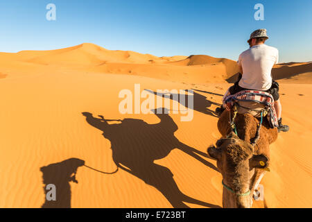 Équitation à dromadaire désert Erg Chebbi, Merzouga, Maroc, Afrique Banque D'Images