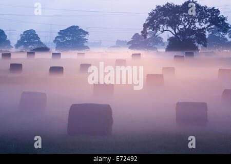 Billingham, UK, 4e Sep, 2014. Météo : hay meadow près de Billingham brume matinale que Burns au loin sur une glorieuse jeudi matin dans la région de North East England Crédit : ALANDAWSONPHOTOGRAPHY/Alamy Live News Banque D'Images